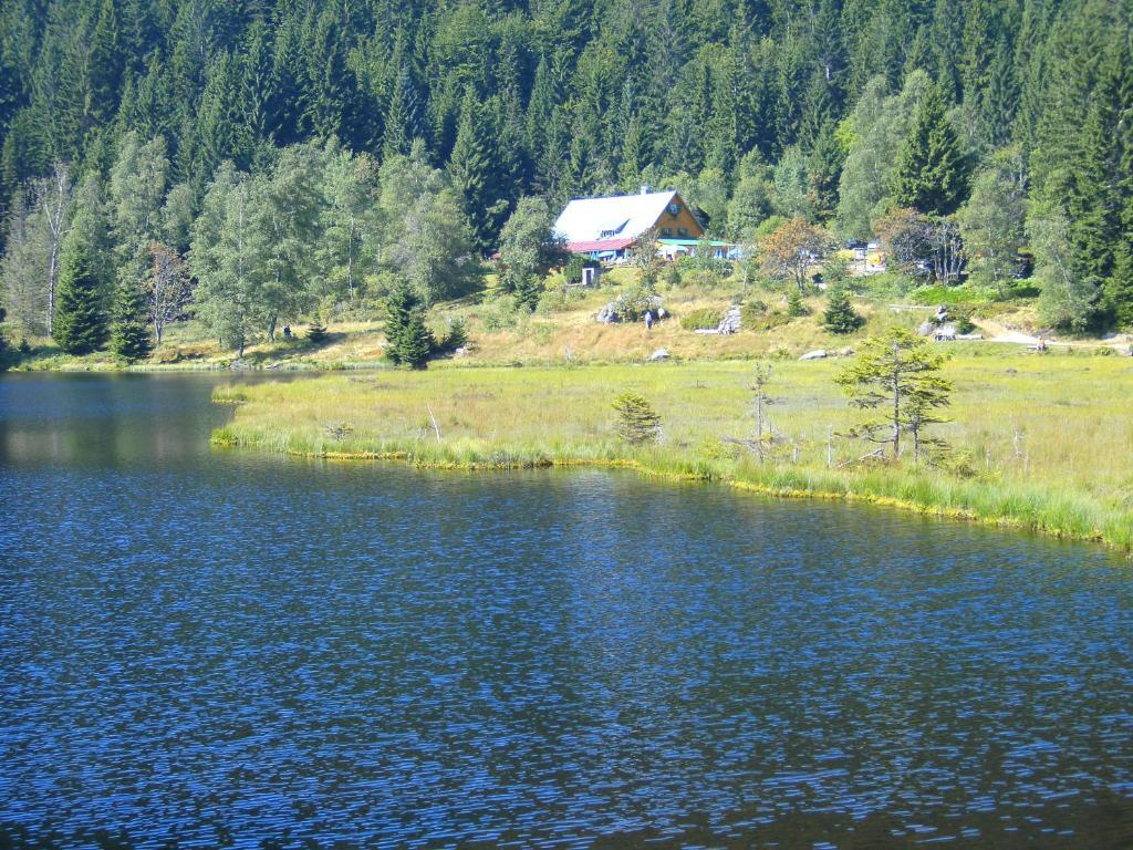 Pension Reindlhoeh Lohberg Dış mekan fotoğraf